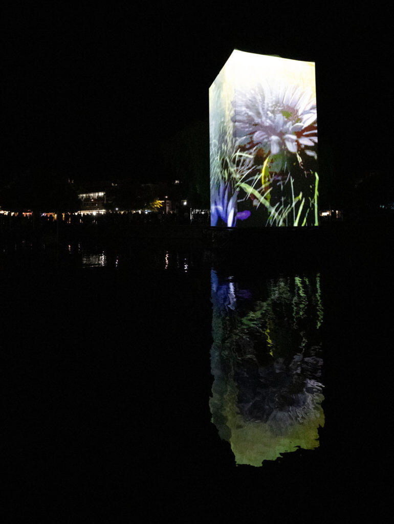 Xbox ANZ Transforms Queenstown Into ‘Greenstown’ 1 Greenstown 18 https://staging.mkaugaming.com/xbox-anz-transforms-queenstown-into-greenstown/