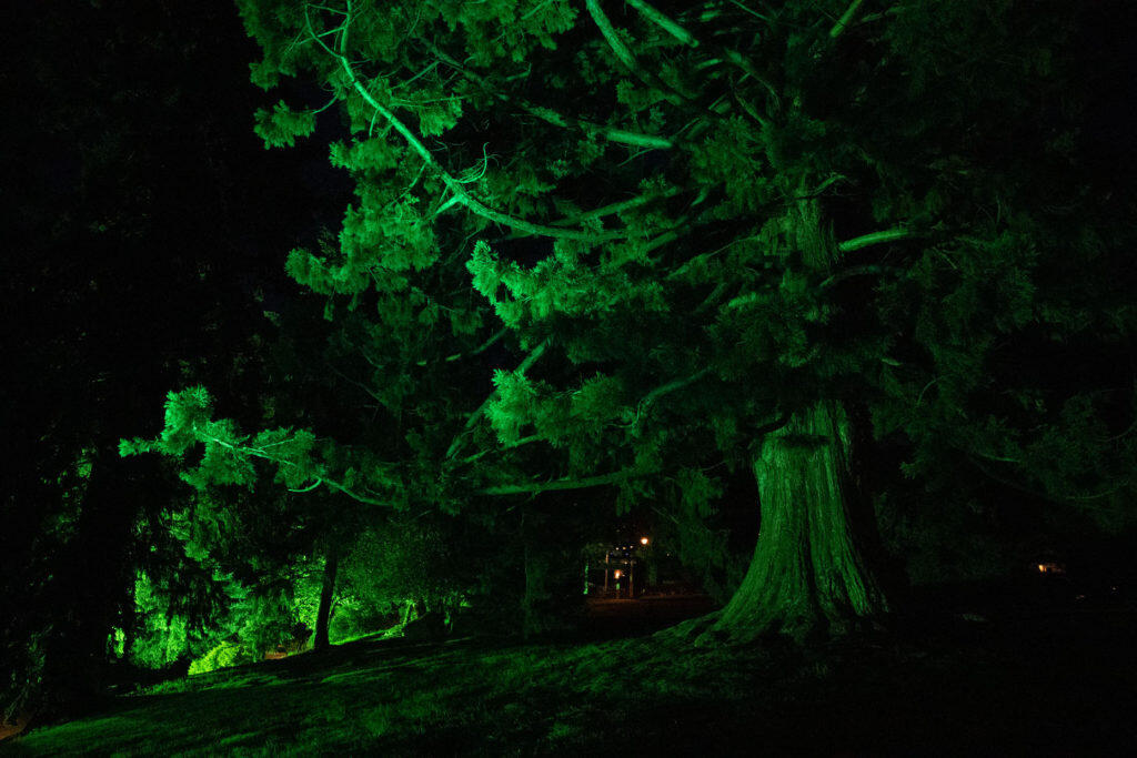 Xbox ANZ Transforms Queenstown Into ‘Greenstown’ 15 Greenstown 4 https://staging.mkaugaming.com/xbox-anz-transforms-queenstown-into-greenstown/