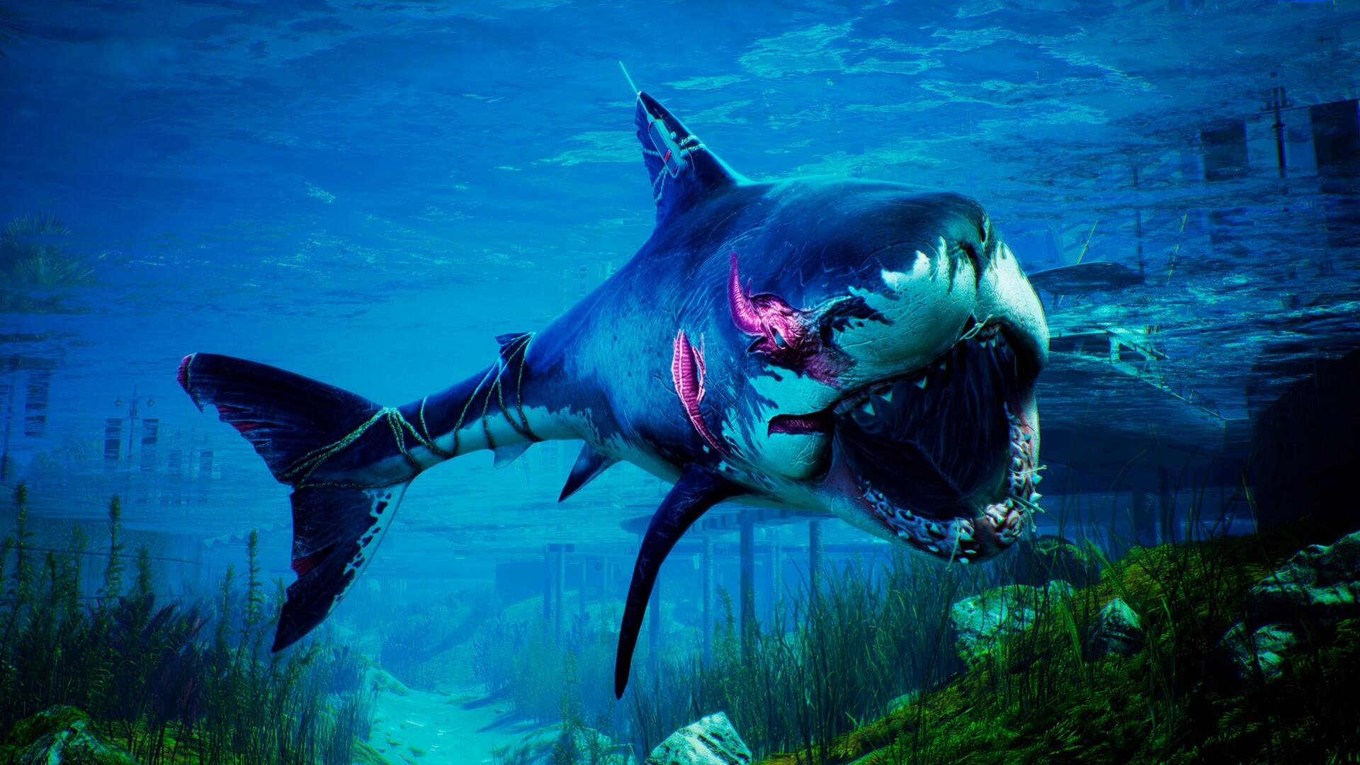 Experience True ShaRkPG Mayhem When The Maneater Apex Edition Comes To Stores 4 2022 07 28 00015 https://staging.mkaugaming.com/experience-true-sharkpg-mayhem-when-the-maneater-apex-edition-comes-to-stores/