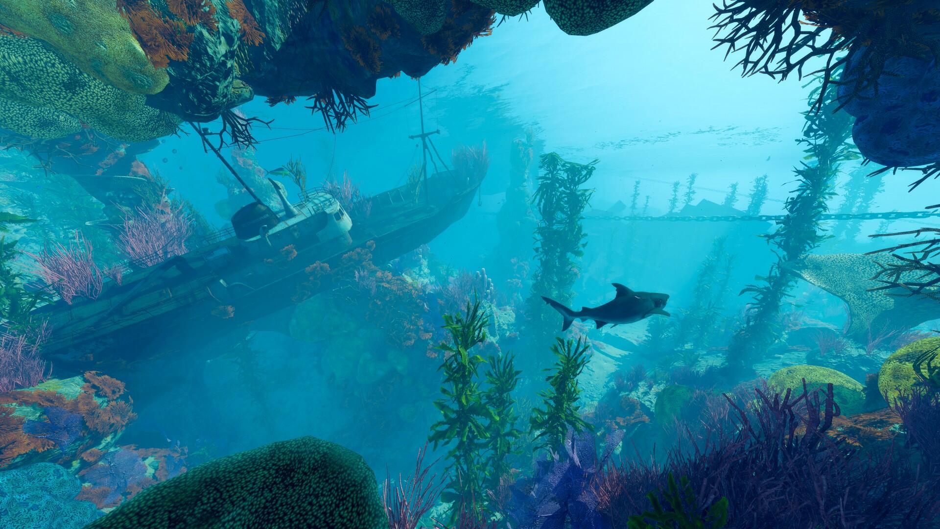 Experience True ShaRkPG Mayhem When The Maneater Apex Edition Comes To Stores 1 2022 07 28 00016 https://staging.mkaugaming.com/experience-true-sharkpg-mayhem-when-the-maneater-apex-edition-comes-to-stores/