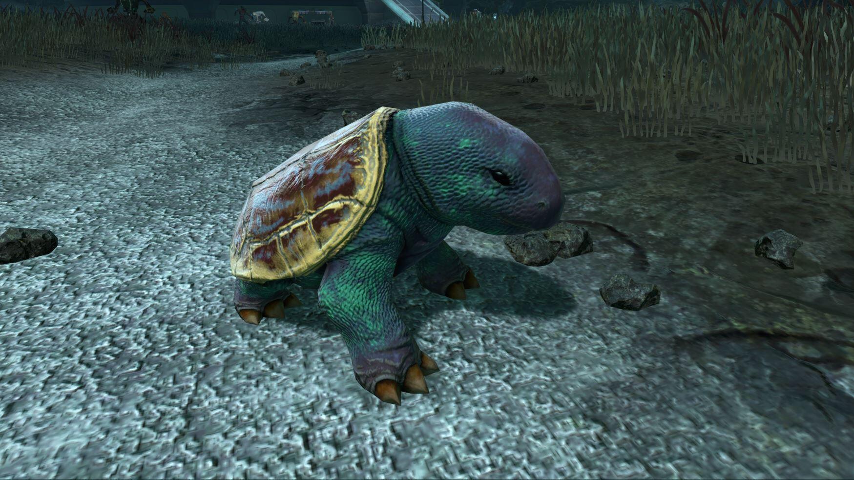 Star Wars: The Old Republic New Operation, Daily Area & more Now Live 8 Cerulean Turtle Mini Pet https://staging.mkaugaming.com/star-wars-the-old-republic-new-operation-daily-area-more-now-live/