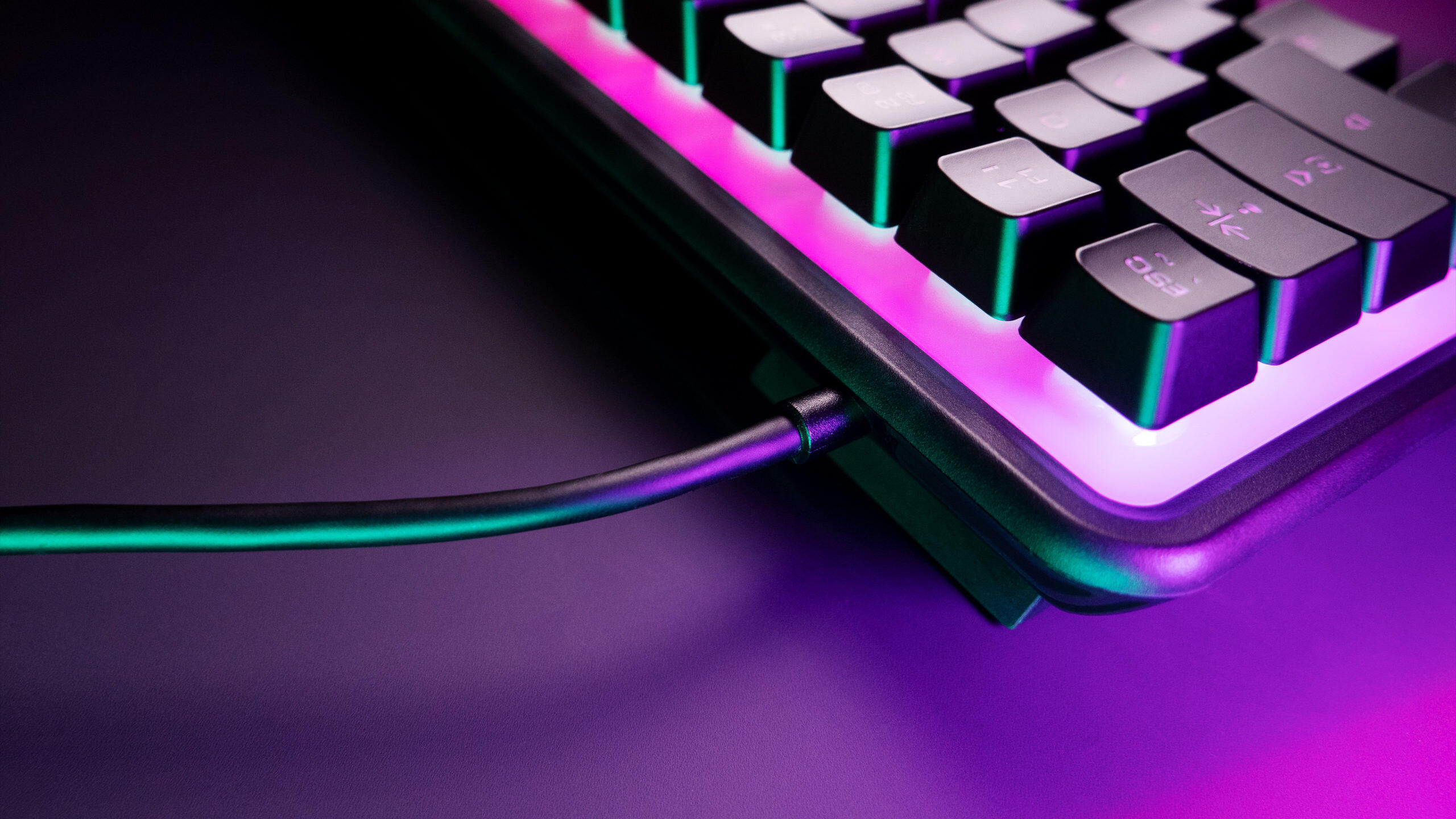 Get Lit With Stunning RGB Lighting & ROCCAT’S Vibrant Magma Mini – The Award-Winning PC Peripheral Brand's New 60% Sized RGB Membrane Gaming Keyboard 6 ROCCAT Magma Mini Press Pic 8 3840x2160 No Logo scaled https://staging.mkaugaming.com/get-lit-with-stunning-rgb-lighting-roccats-vibrant-magma-mini-the-award-winning-pc-peripheral-brands-new-60-sized-rgb-membrane-gaming-keyboard/