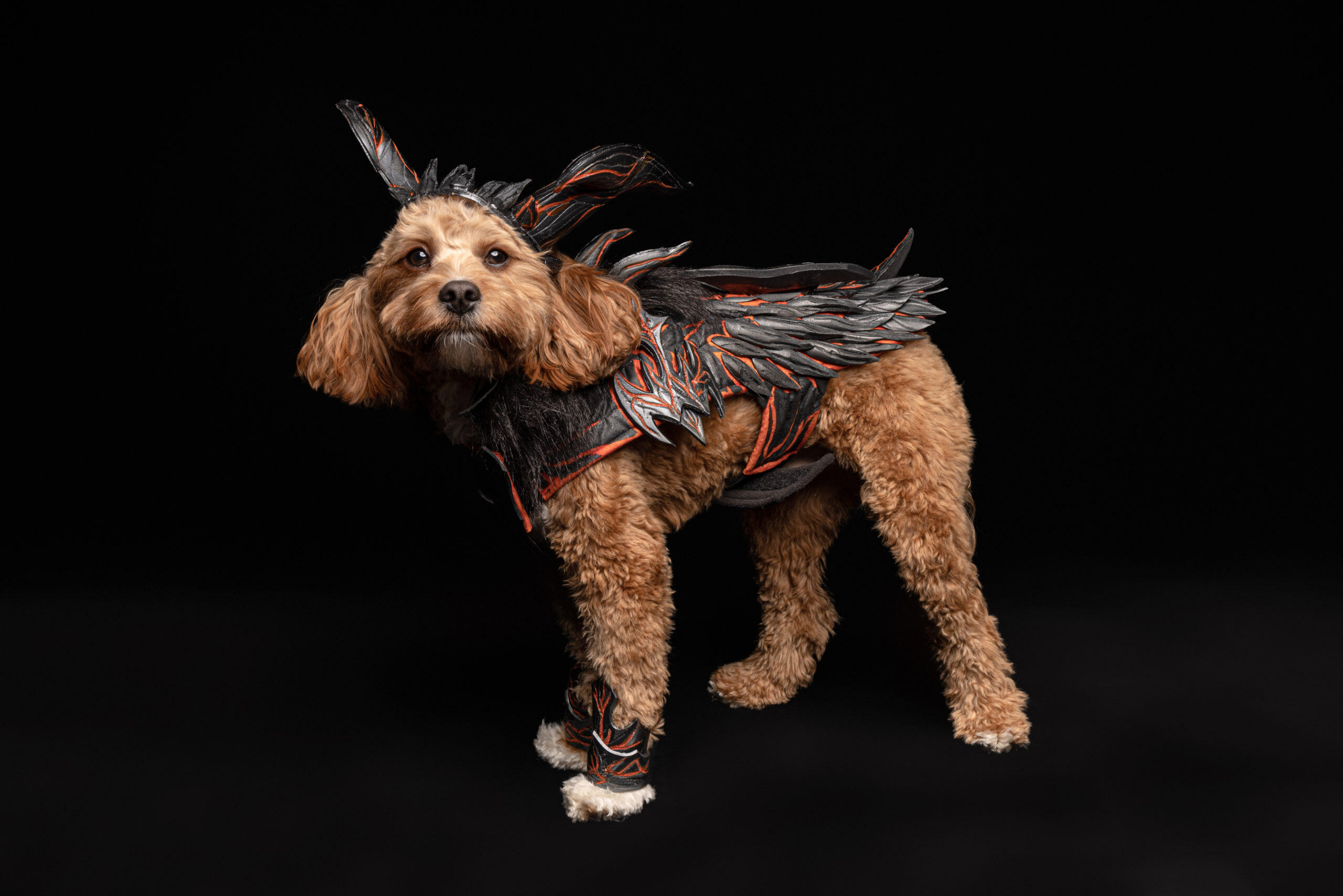 Loyal Sidekicks Unite In Partnership With FINAL FANTASY XVI And Australia’s Rescue Dogs 4 Hunter in Ifrit scaled https://staging.mkaugaming.com/loyal-sidekicks-unite-in-partnership-with-final-fantasy-xvi-and-australias-rescue-dogs/