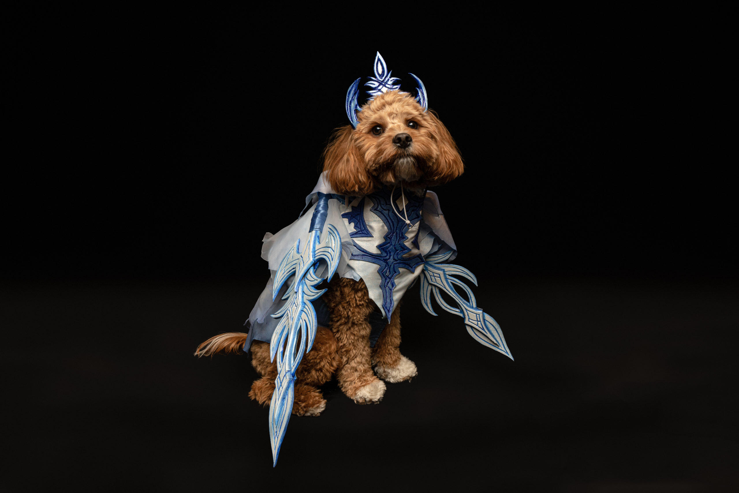 Loyal Sidekicks Unite In Partnership With FINAL FANTASY XVI And Australia’s Rescue Dogs 3 Hunter in Shiva scaled https://staging.mkaugaming.com/loyal-sidekicks-unite-in-partnership-with-final-fantasy-xvi-and-australias-rescue-dogs/